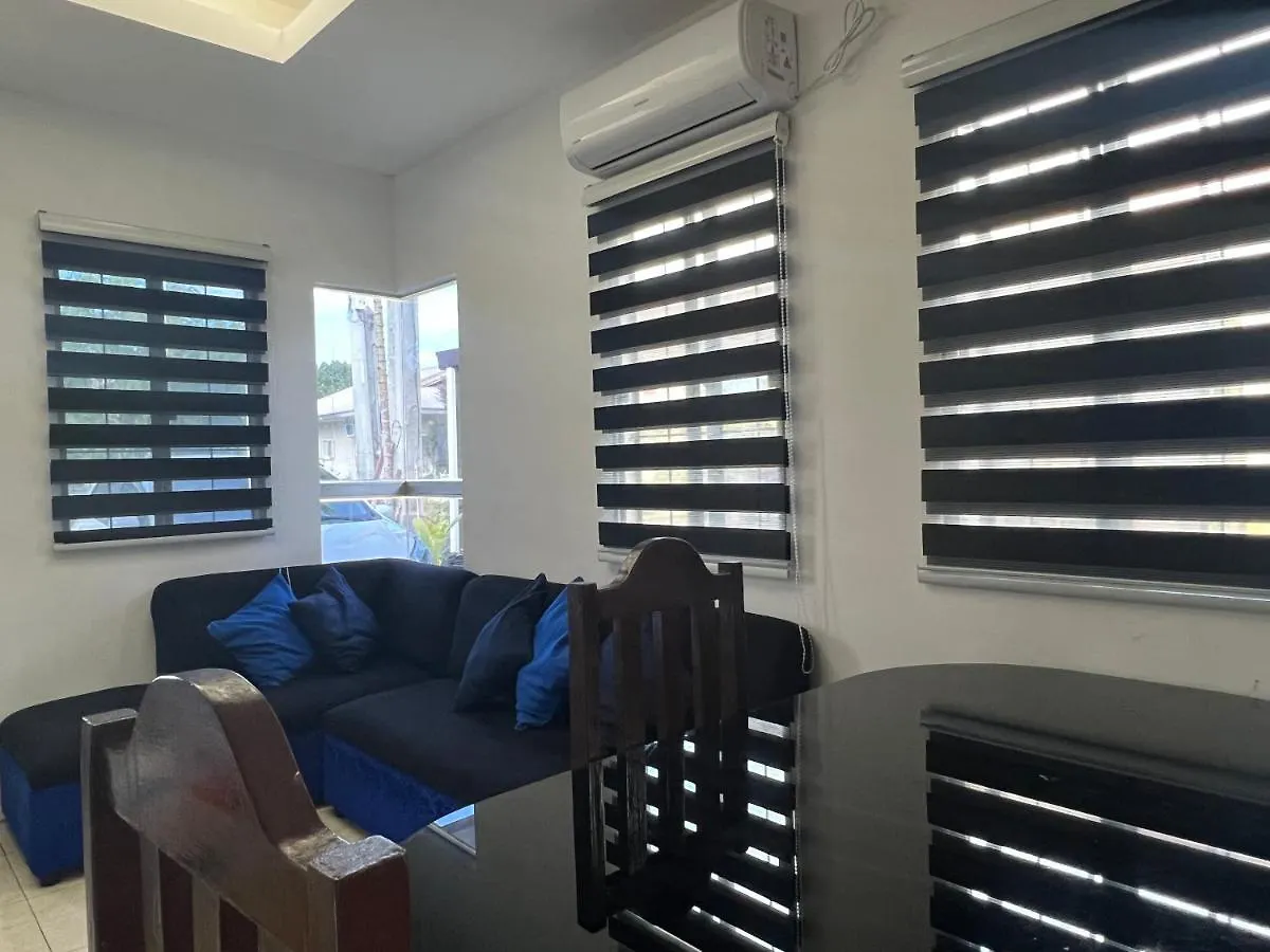 Davao Transient Villa With 24Hrs Security Guard Bbq Grill , Free Parking And Wifi 度假居